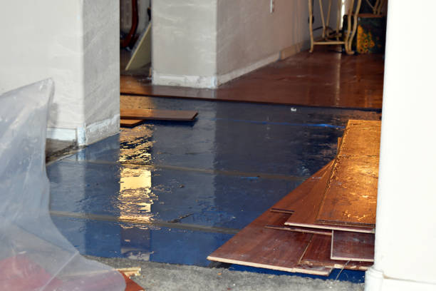Professional Water Damage Restoration technician working in Flora, MS